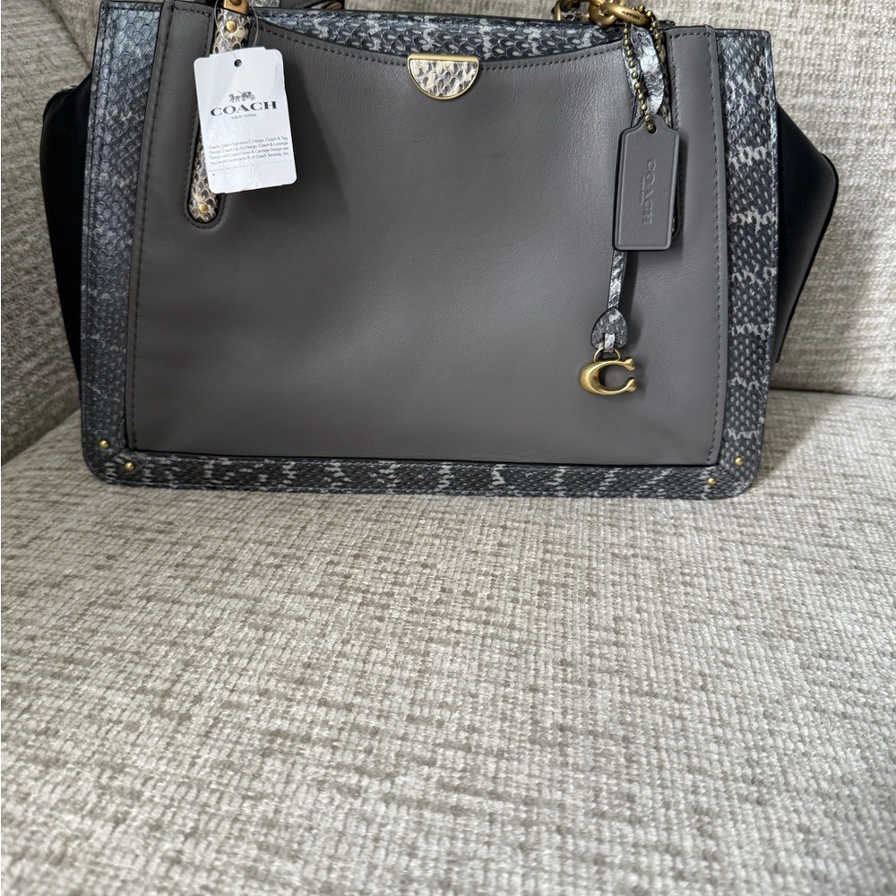 Coach Dreamer 36 In Colorblock With Snakeskin